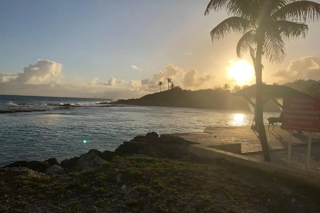 Mango Paradise Saint-Francois  Guadeloupe