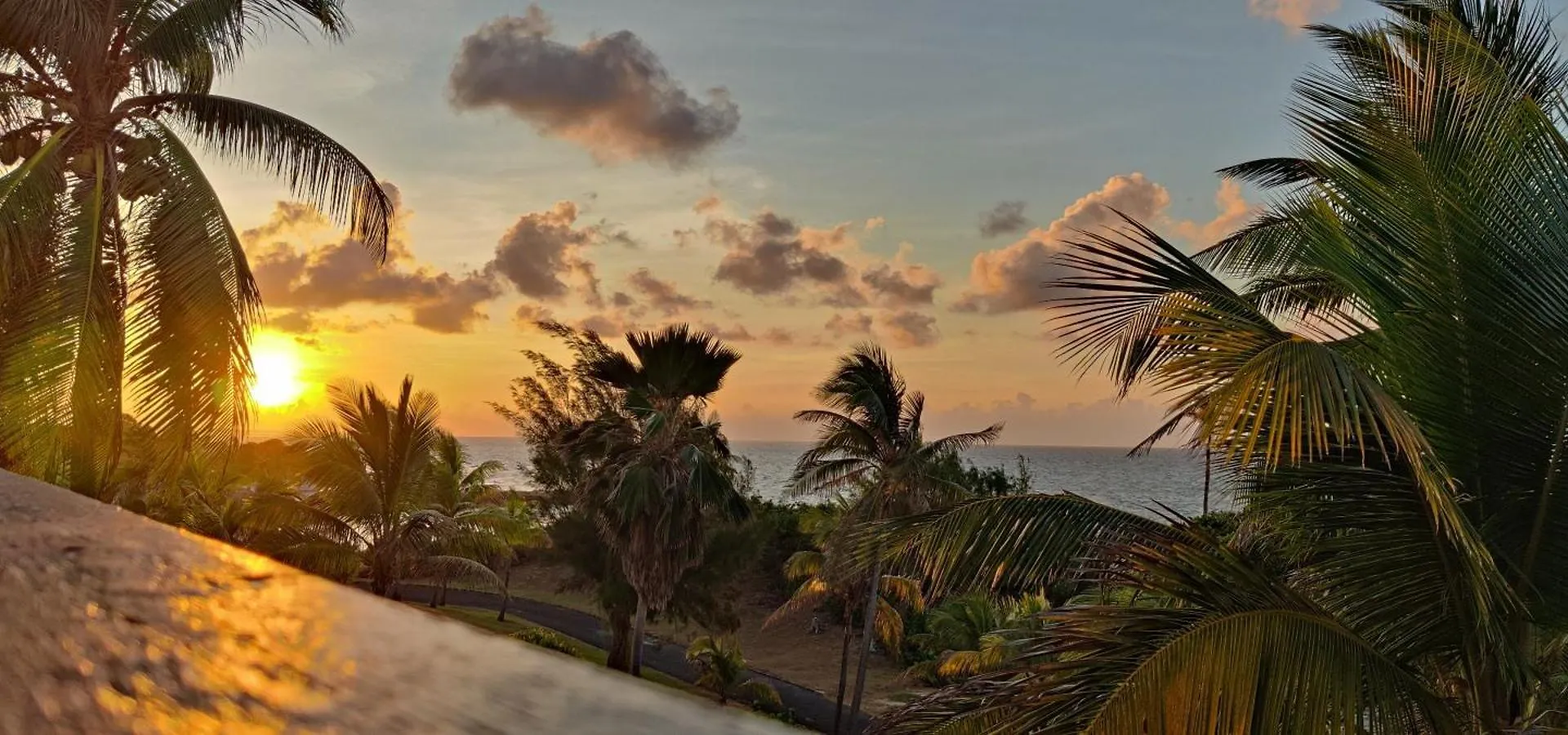 Mango Paradise Saint-Francois  Guadeloupe